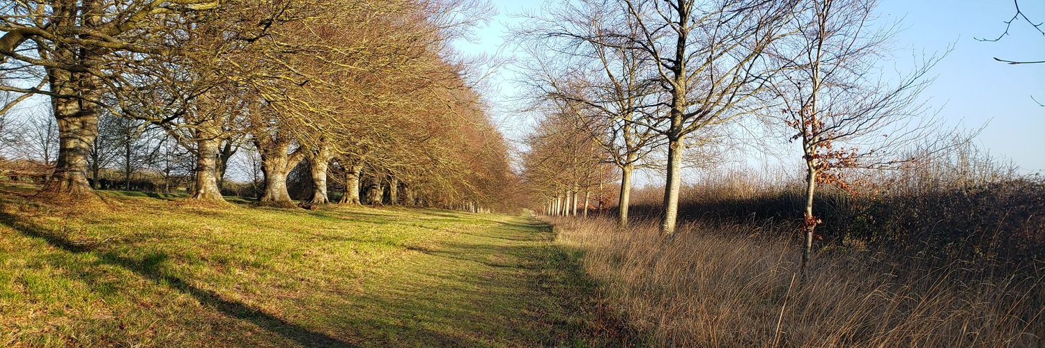 Charlie Williams banner