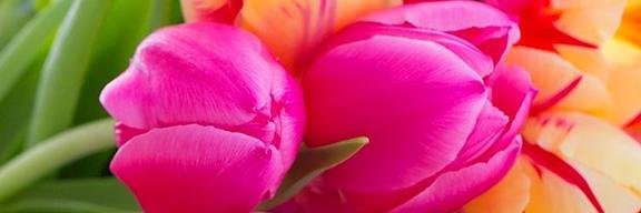 VkguptaGupta's profile banner image