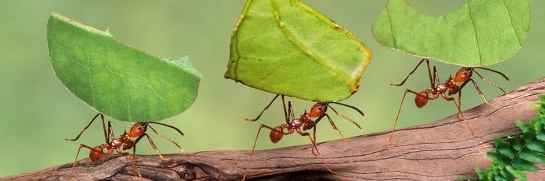 EstebanLopezFR's profile banner image