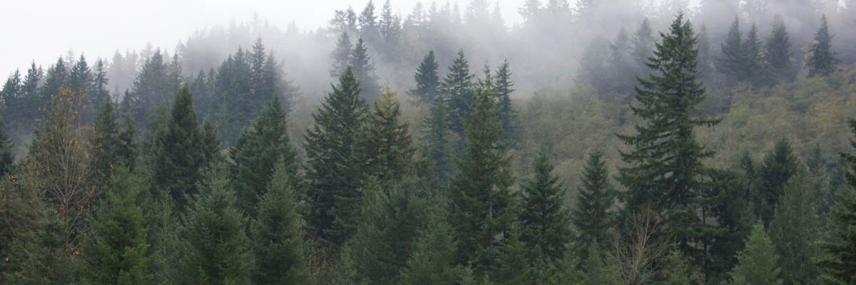 jsilvela's profile banner image