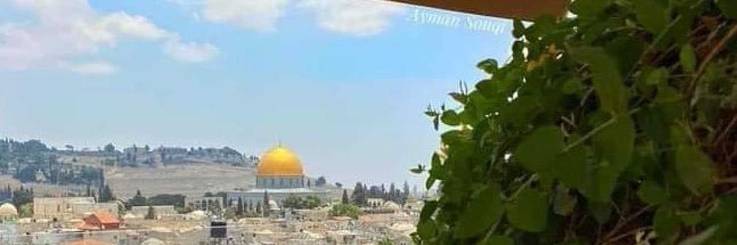 baherehab14's profile banner image