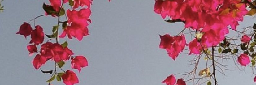 Nilduch's profile banner image