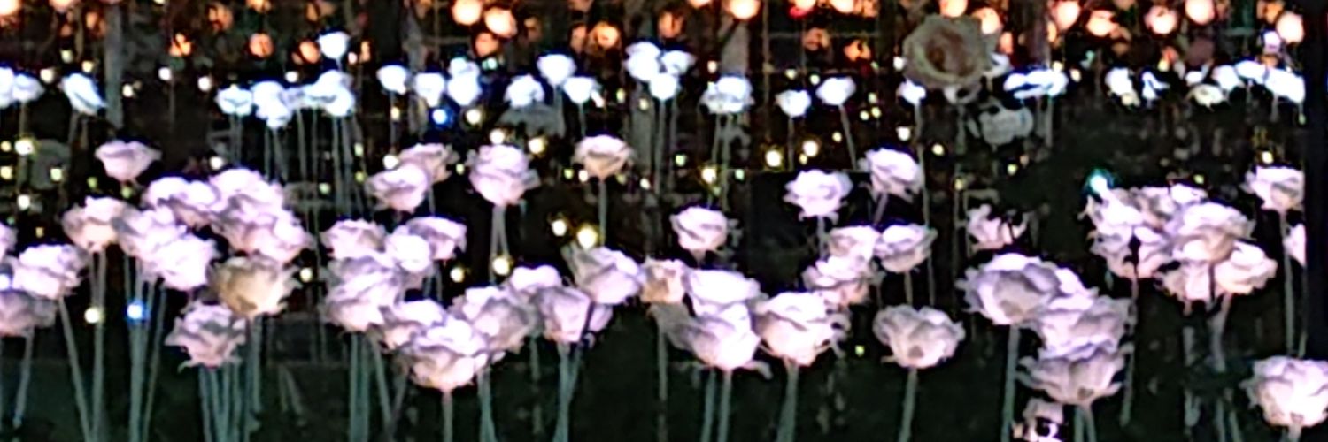 dumika's profile banner image