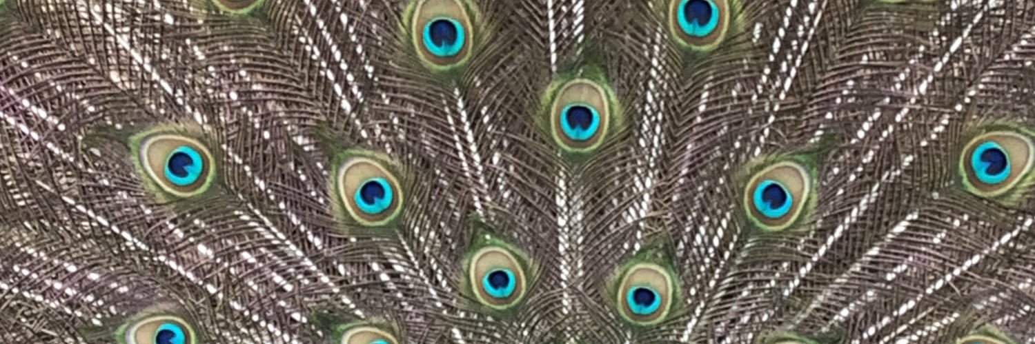 gabrielbarranco's profile banner image