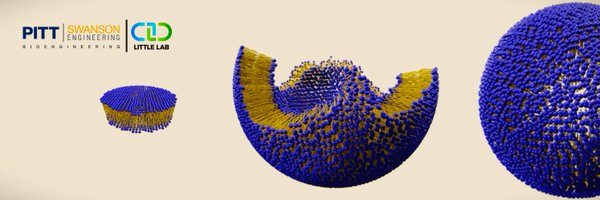 Alirezamohzd Profile Banner