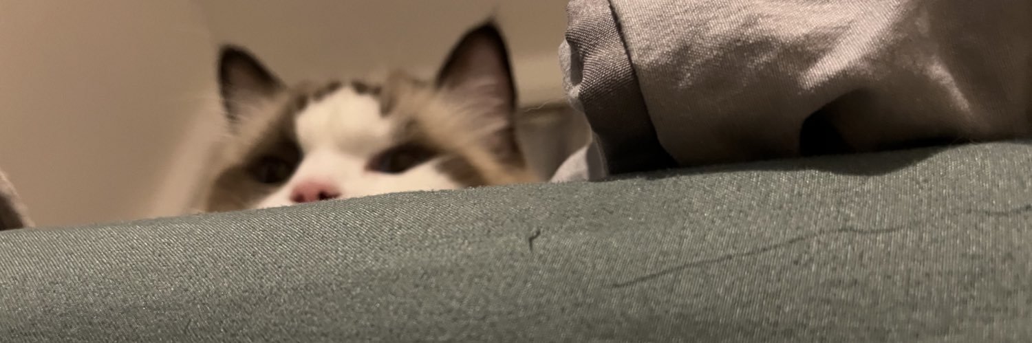 me_kikko's profile banner image