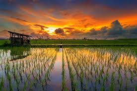 marka_putri's profile banner image