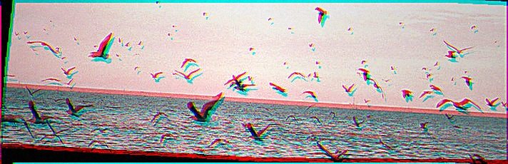 nattari71's profile banner image