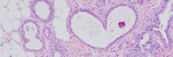 LuisBlancoJrMD Profile Banner