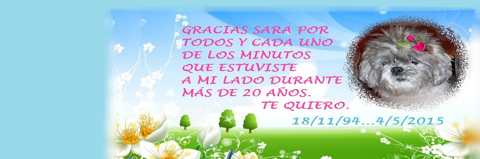 Ana_Lopez_B's profile banner image