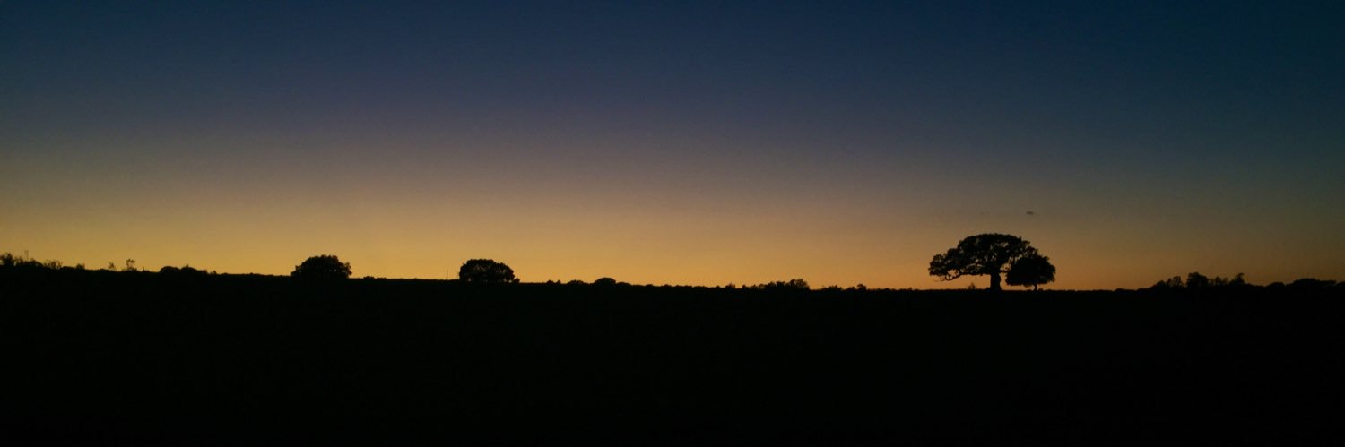 Betomv98's profile banner image