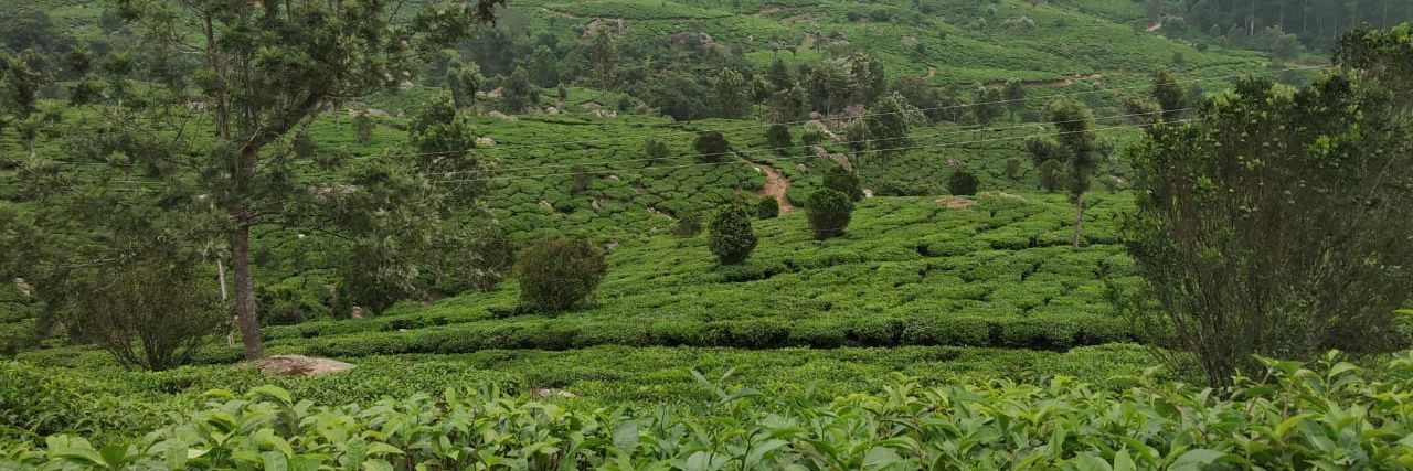 SudhanAtri's profile banner image