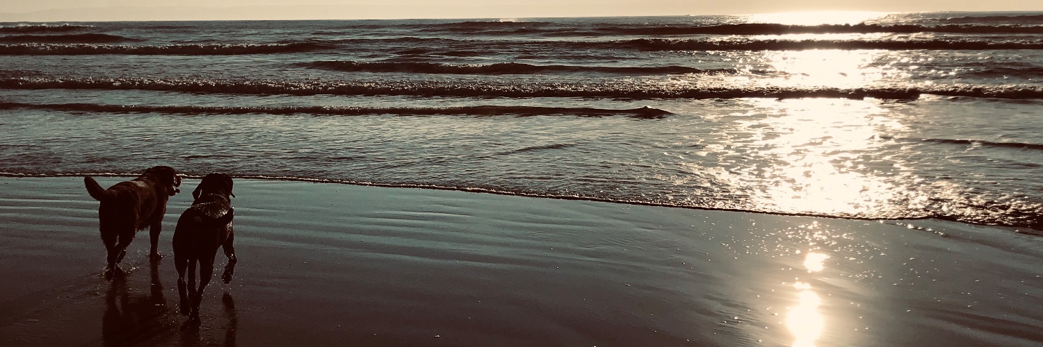 clhey1's profile banner image