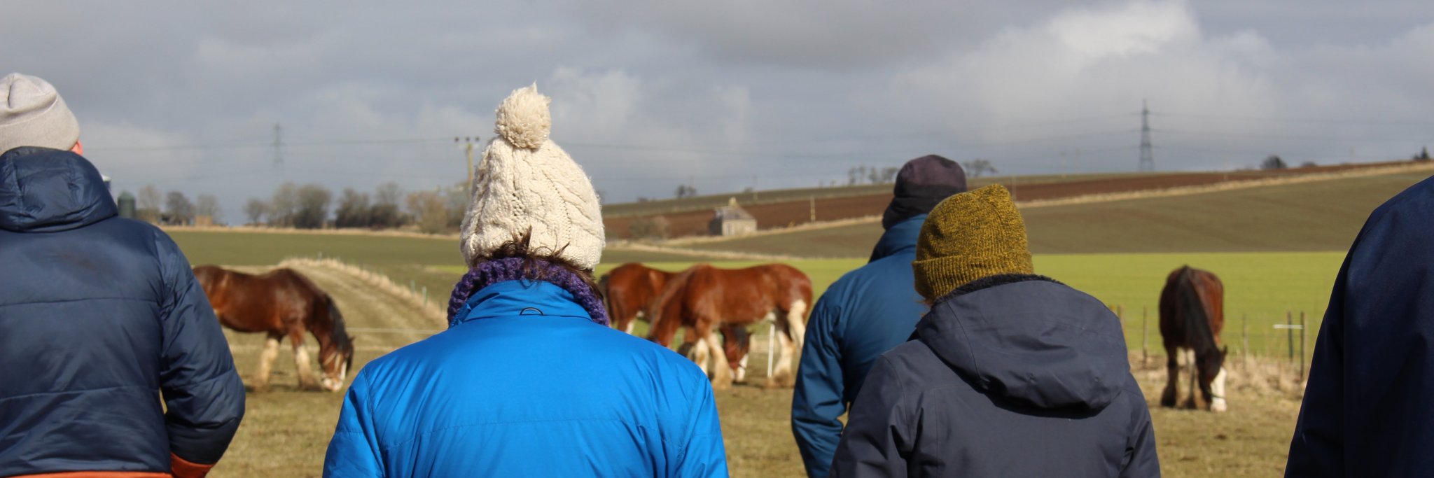Mari Keski-Korsu banner