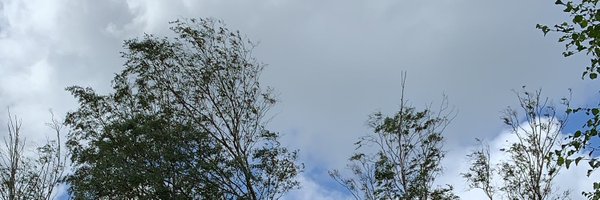 longonly1981 Profile Banner