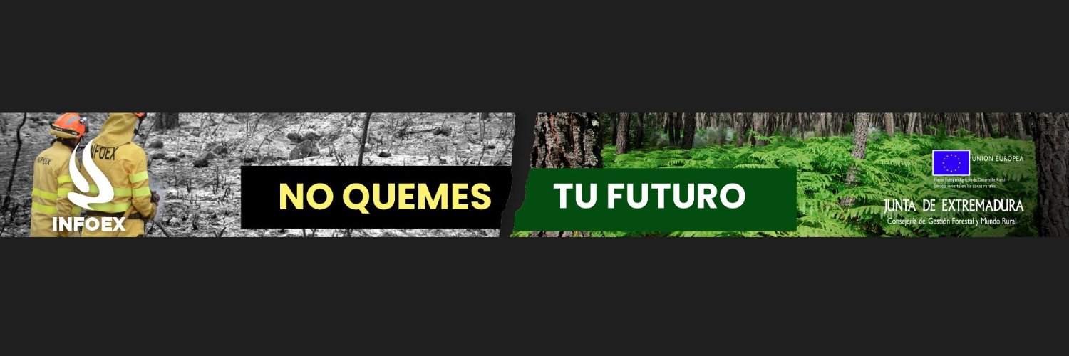 INFOEX banner