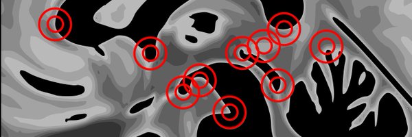 afids_project Profile Banner