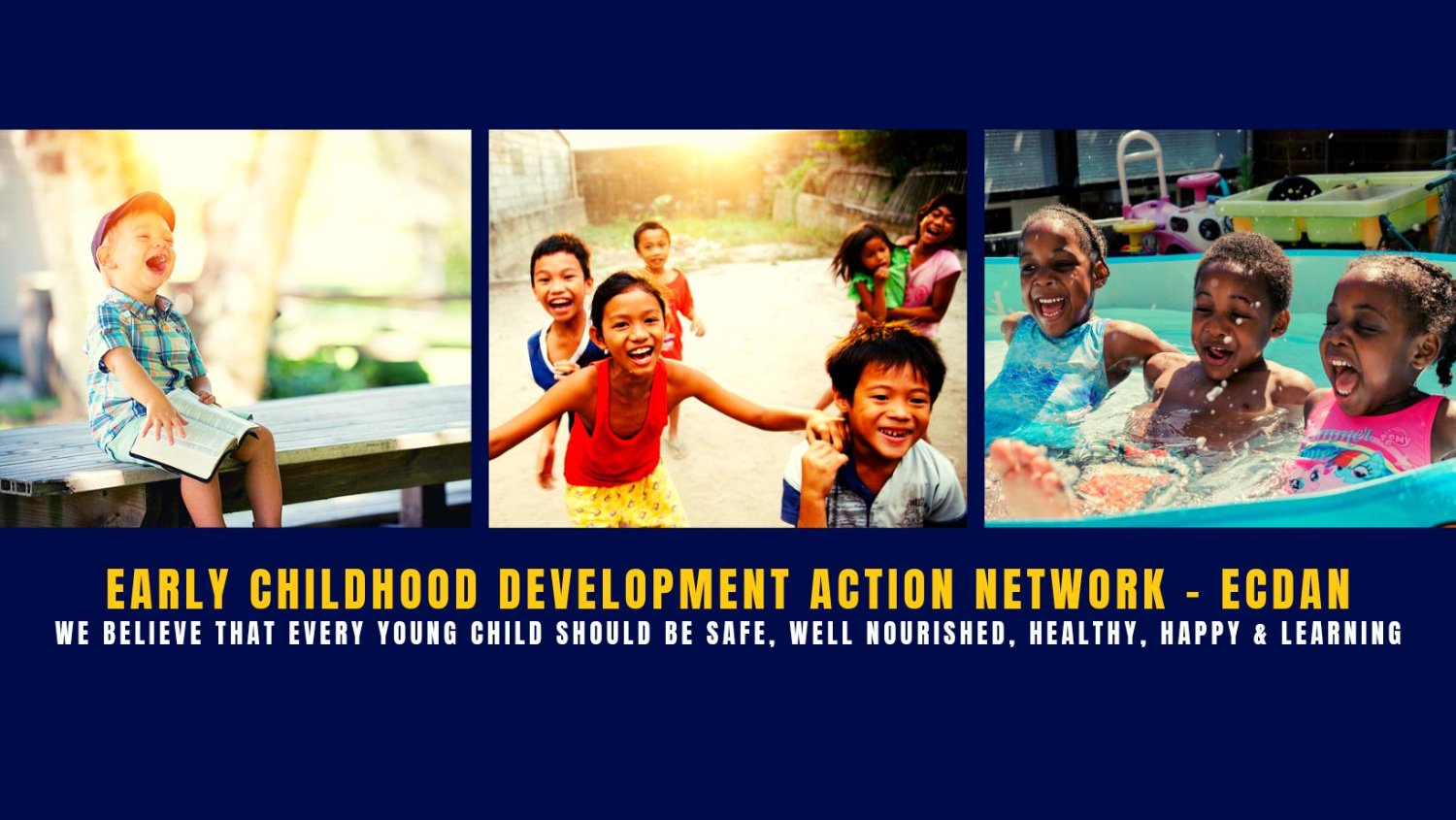 Early Childhood Development Action Network (ECDAN)'s banner