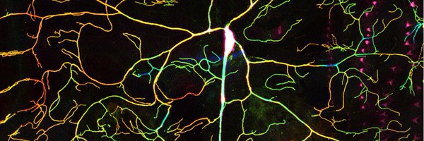 FaundezLab Profile Banner