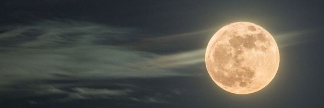 nicogrammajo's profile banner image