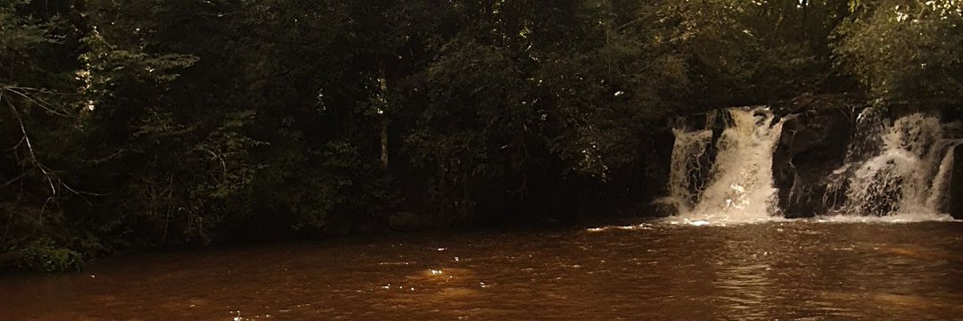JBarreiraa's profile banner image