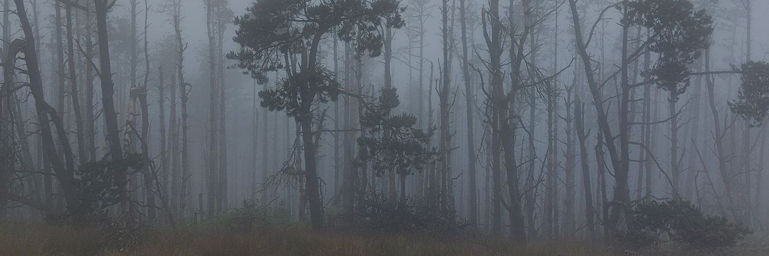 emptyglo's profile banner image