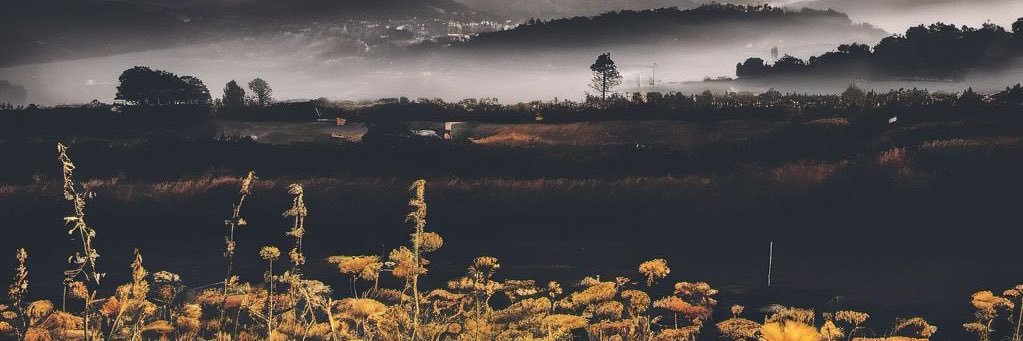 mama megs☔️🌲✨ banner