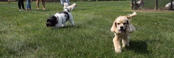 MoorestownSun Profile Banner