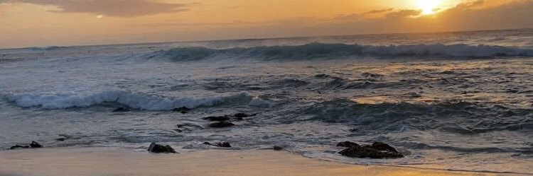 sarahc2606's profile banner image