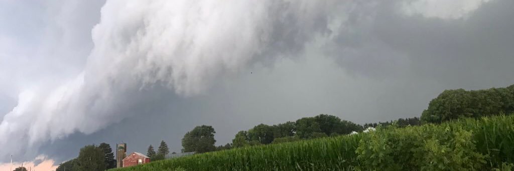 Bradley Snobelen banner