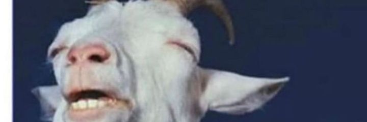 HenryWleh's profile banner image