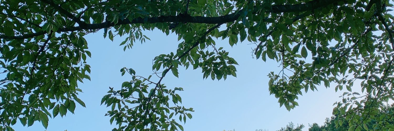 ✽yu-chi✽ banner