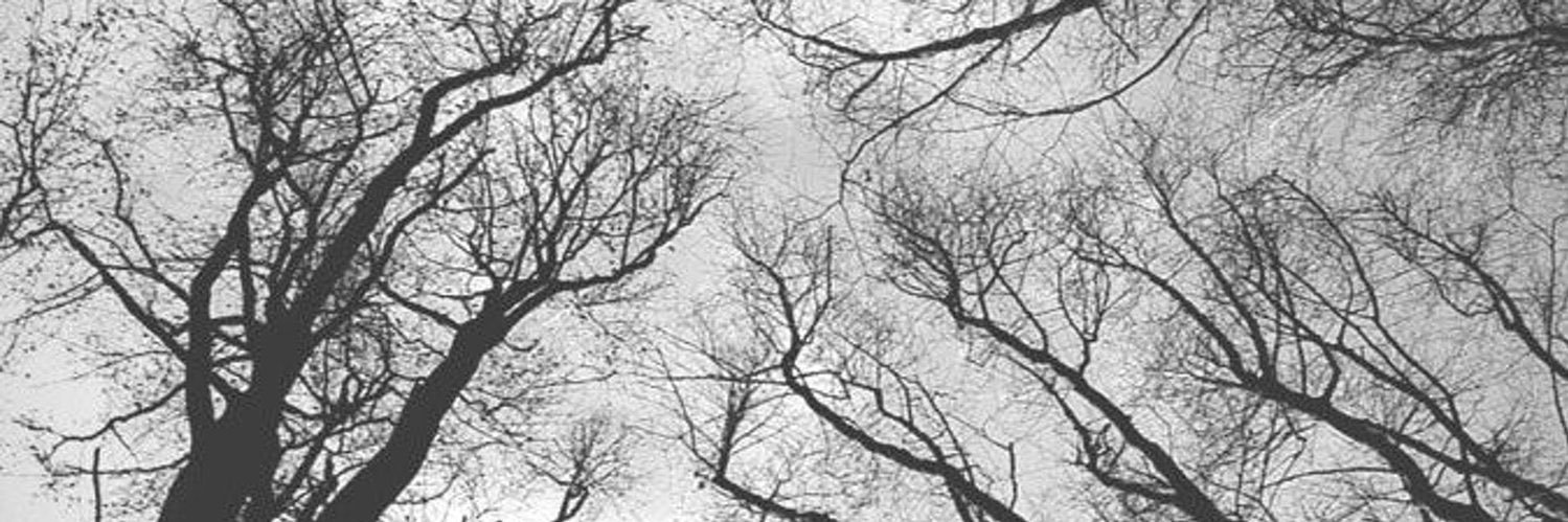 Jess 🤍 banner