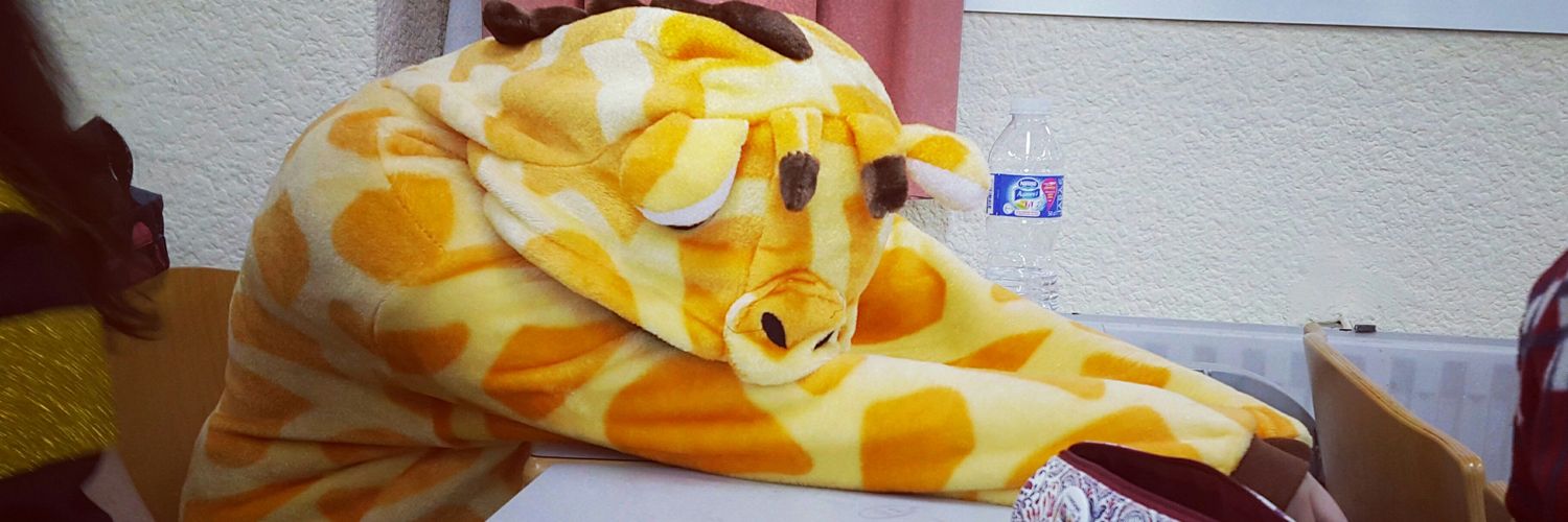 _camelopardalis's profile banner image
