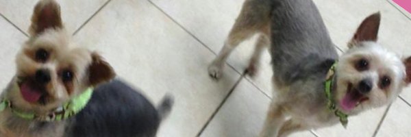 dugzemon Profile Banner