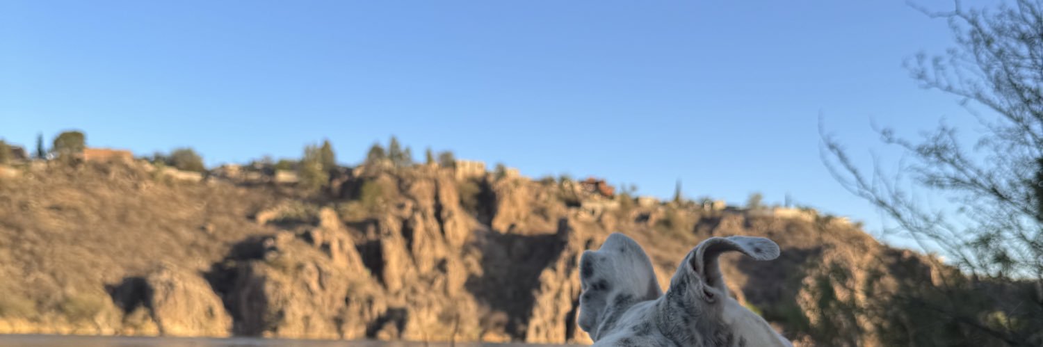 abrilacobarde's profile banner image