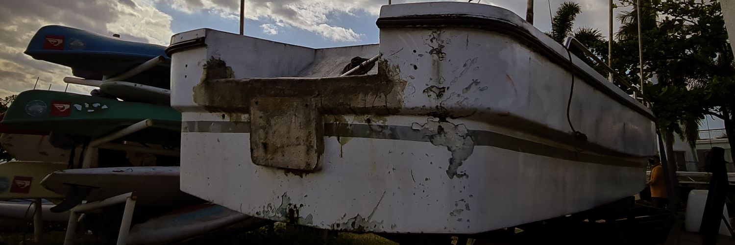 Twitter banner for @JayViBi