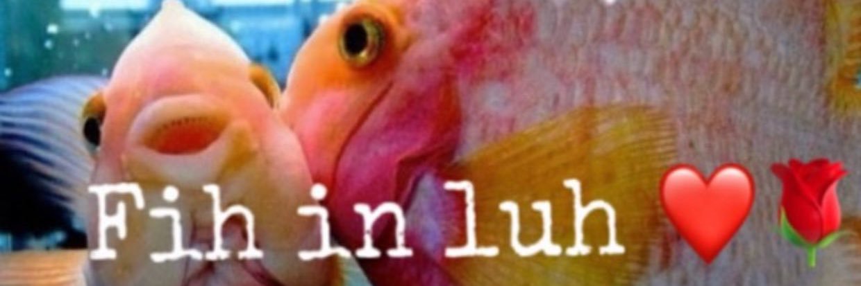 fifteenthalt's profile banner image