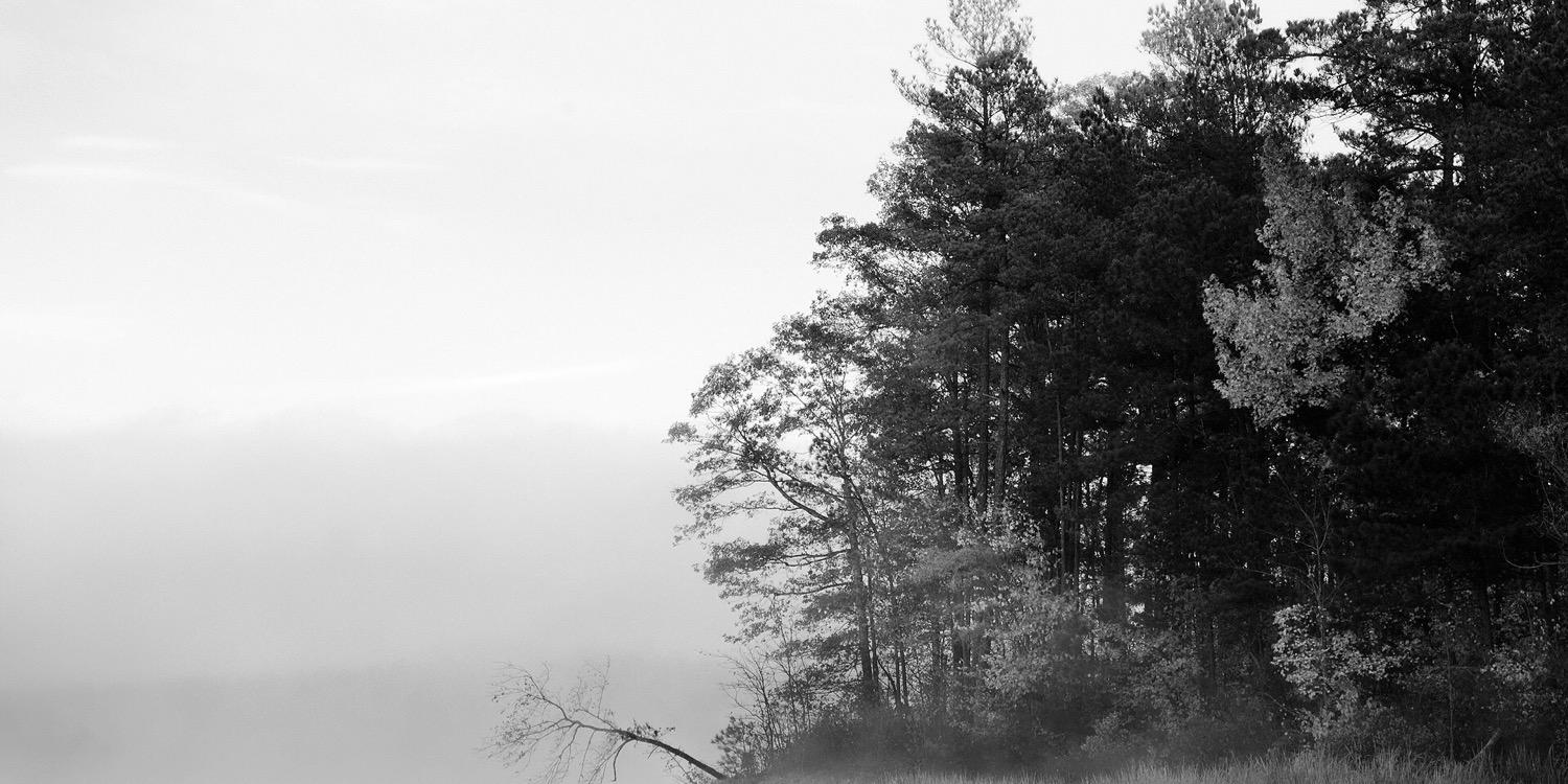 Freelancer52170's profile banner image