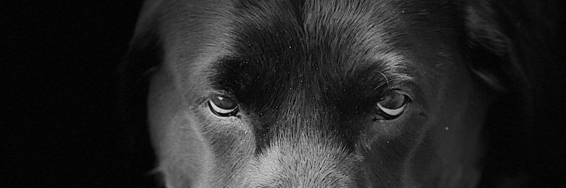SteveDangerLane's profile banner image