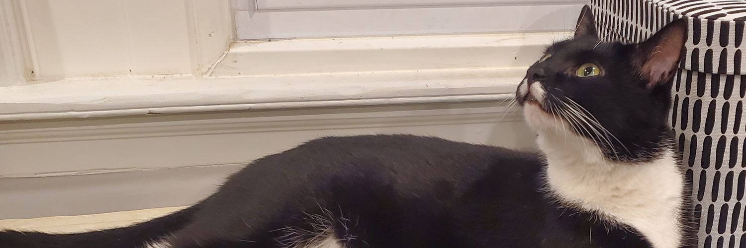 iamkaypear's profile banner image