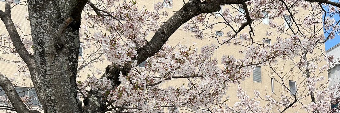 3KinokO8's profile banner image