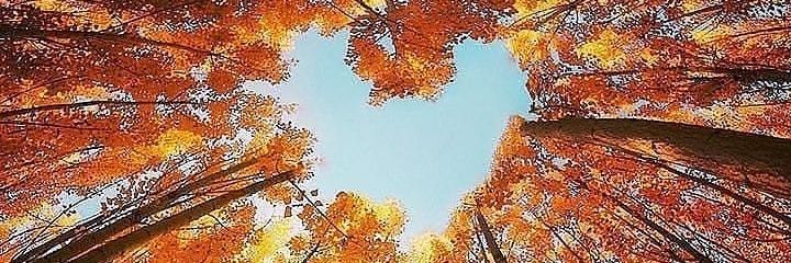 HxkimIsmi's profile banner image