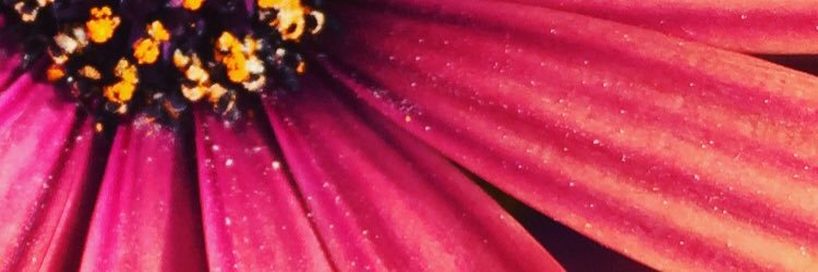 Natasha Bayes banner