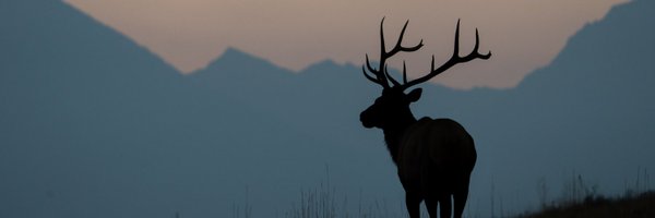 VortexOptics Profile Banner