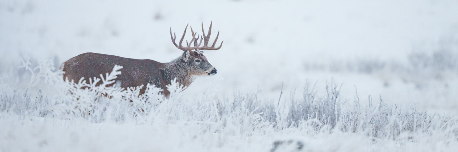 Vortex Optics banner