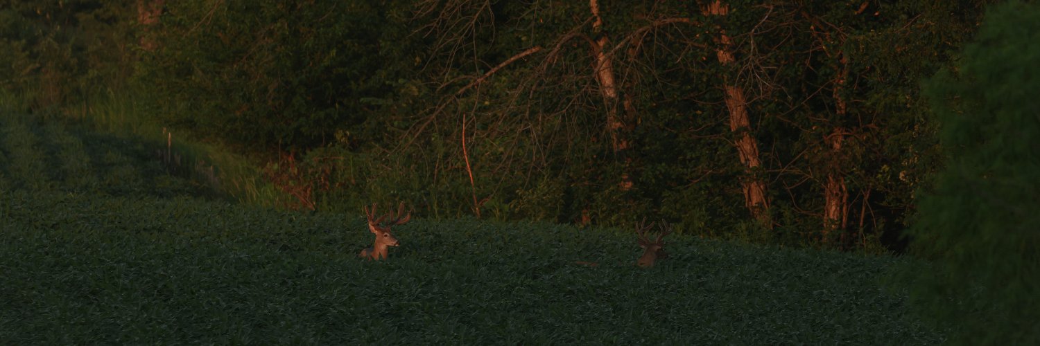 VortexOptics's profile banner image