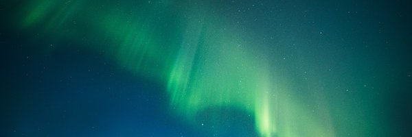 bloom_impact Profile Banner