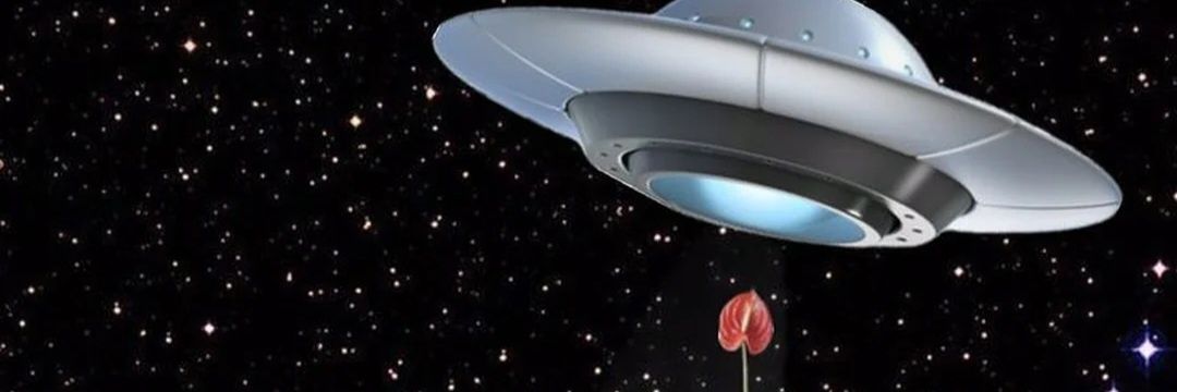 can_dita's profile banner image