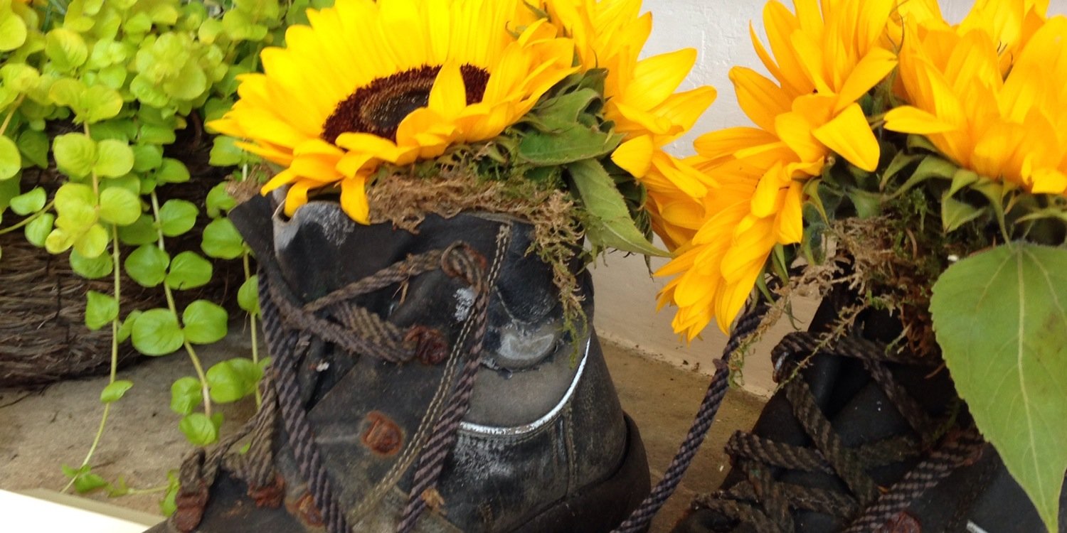 ThinBloom's profile banner image